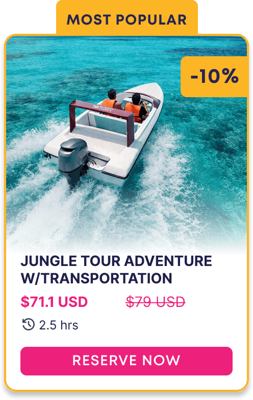JUNGLE TOUR ADVENTURE WITH TRANSPORTATION